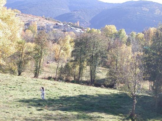 Cerf volant dans les champs