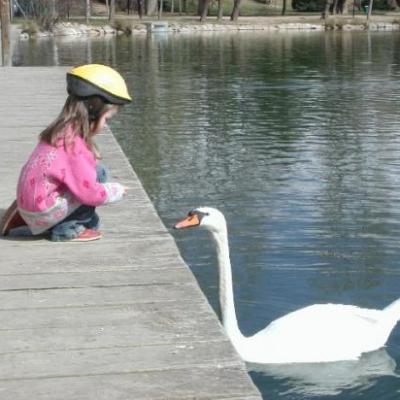 Lac de Puigcerda