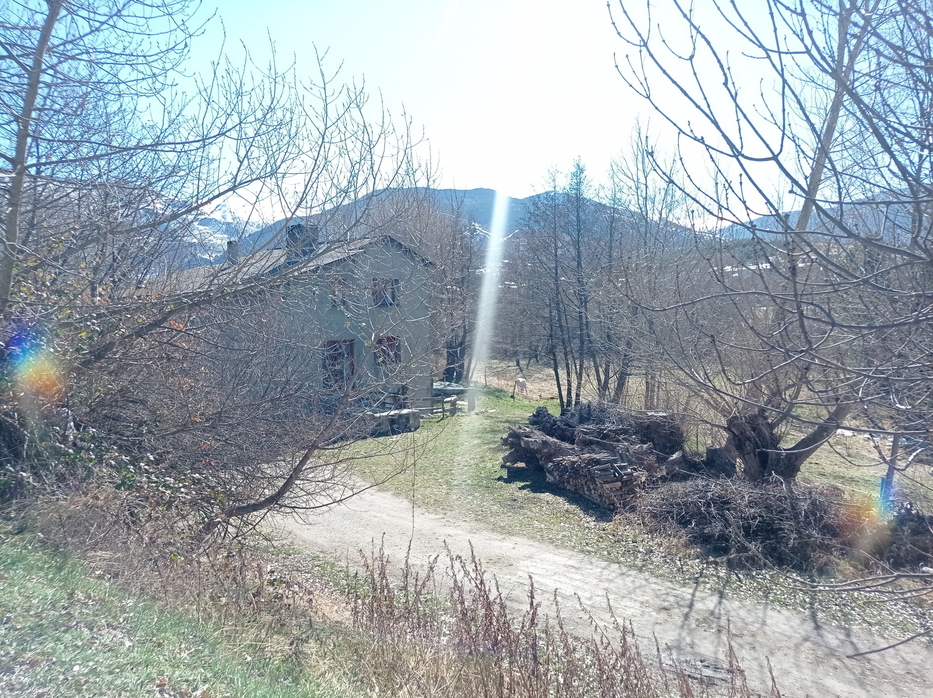 Img 20240313 111006